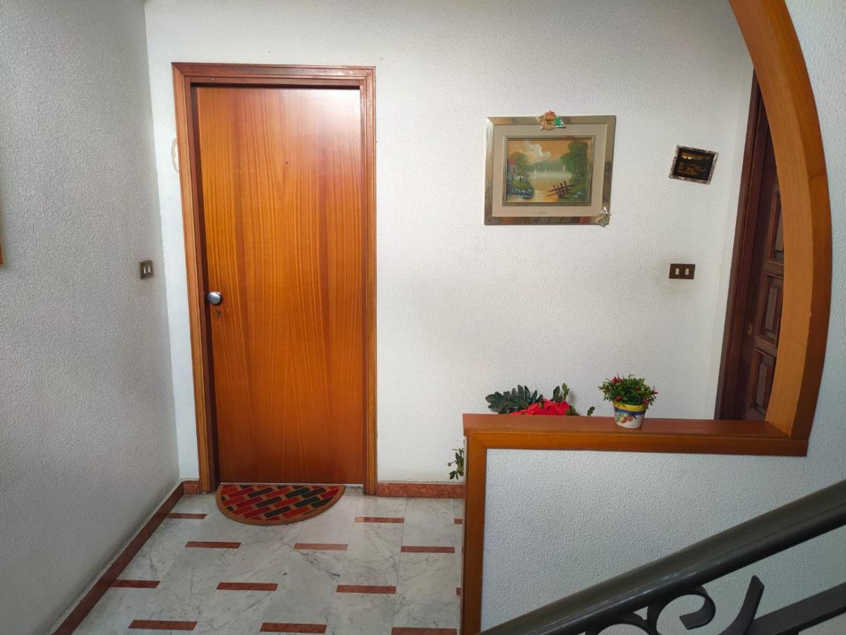Il Tulipano