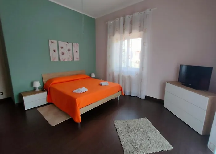 Il Tulipano