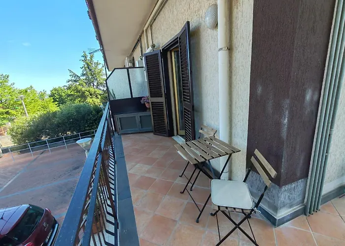 Il Tulipano